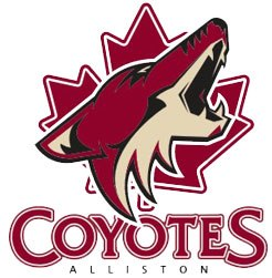 Alliston Coyotes 2013-Pres Primary Logo iron on heat transfer